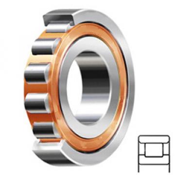 SKF N 206 ECP Rodamientos de Rodillos Cilíndricos