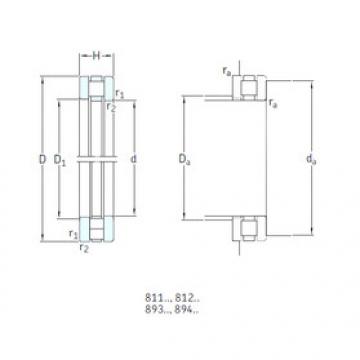 Rodamiento 81209TN SKF