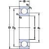 Rodamiento 6313/HC5C3 SKF #1 small image