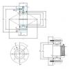 Rodamiento BEAM 25/75/C SQP60 SNFA