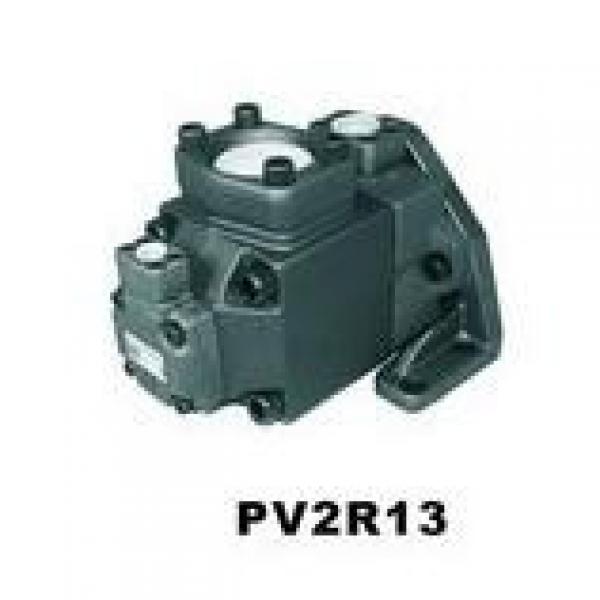  USA VICKERS Pump PVH074R01AA10B25200000100100010A #2 image